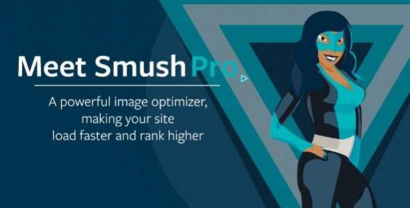 Semrush Pro